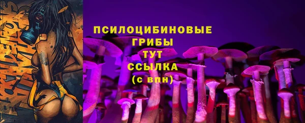 герыч Арсеньев