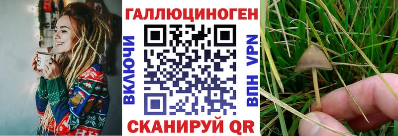 где купить наркотик  Няндома  Псилоцибиновые грибы MAGIC MUSHROOMS 
